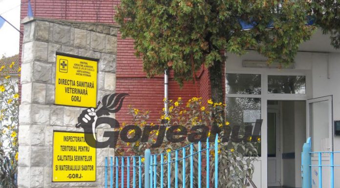 Zeci de verificări la unitățile alimentare din județ