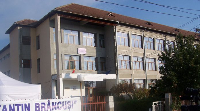 Post vacant la Liceul Tehnologic ,,Constantin Brâncuși” Peștișani