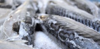 Amendă de 10.000 de lei la un supermarket din Motru pentru depozitarea incorectă a peștelui! S-a dispus reținerea întregii cantități!