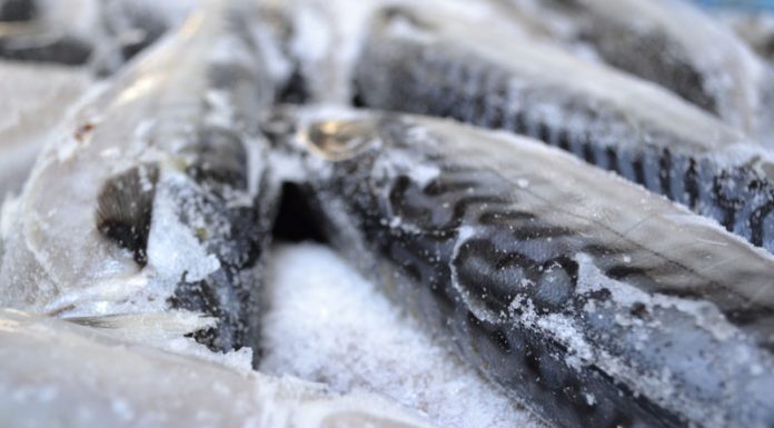 Amendă de 10.000 de lei la un supermarket din Motru pentru depozitarea incorectă a peștelui! S-a dispus reținerea întregii cantități!