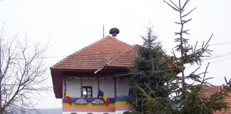 Aviz de mediu pentru alimentarea cu gaze naturale în Plopșoru