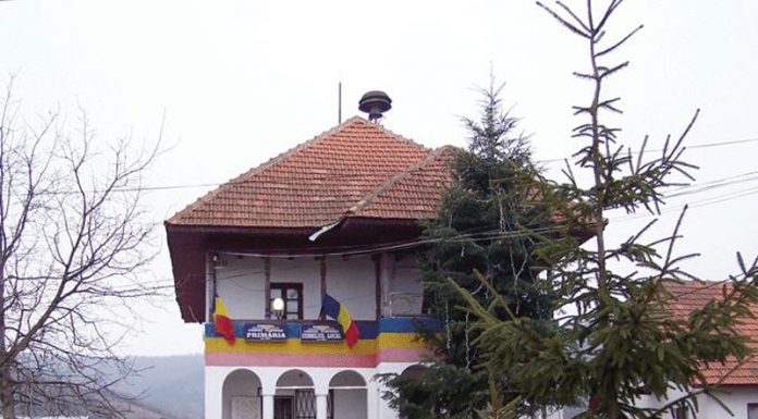 Aviz de mediu pentru alimentarea cu gaze naturale în Plopșoru