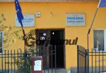 Primăria Dănești face angajări pe trei posturi în vederea derulării unui proiect