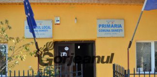 Primăria Dănești face angajări pe trei posturi în vederea derulării unui proiect