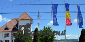 Posturi vacante de auditor, la Primăria Turceni