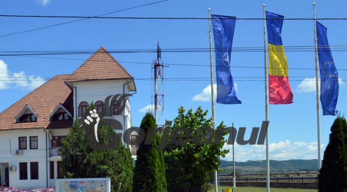 Posturi vacante de auditor, la Primăria Turceni