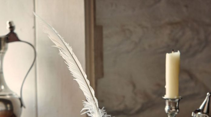 Interviu cu Mircea Cărtărescu