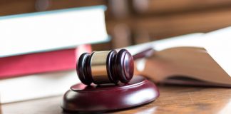 Control judiciar pentru inculpați din „Mafia Pădurilor”