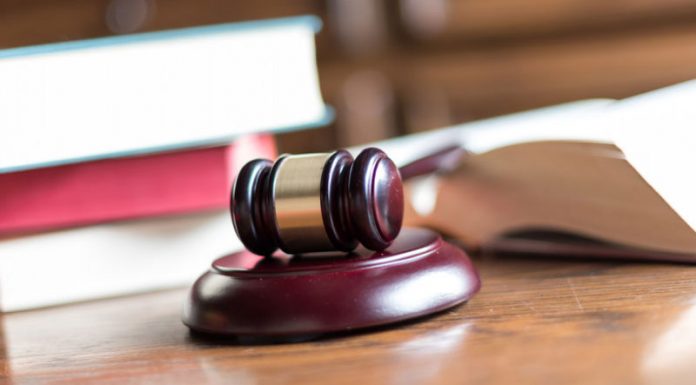 Control judiciar pentru inculpați din „Mafia Pădurilor”