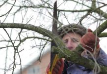 Agricultura pe înțelesul tuturor – Lucrări agricole în repausul vegetativ