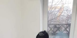 Primul centru de vaccinare local, funcțional la Motru