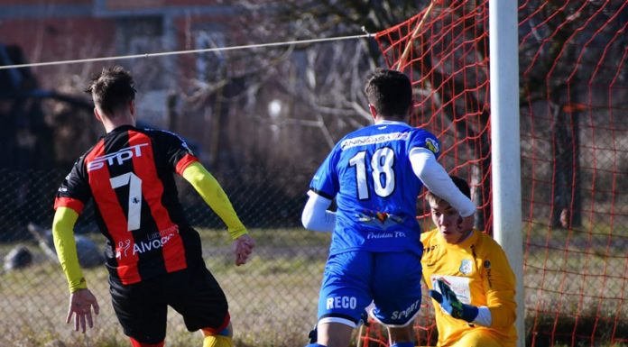 Pandurii a ieşit şifonată din amicalul cu Ripensia