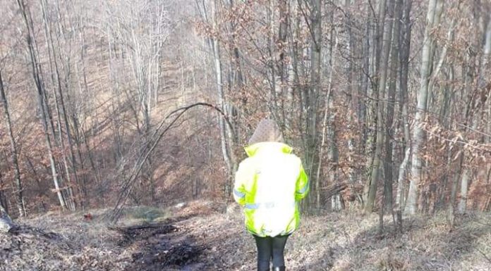 FOTO: Poluare cu țiței la Bîlteni! Garda de Mediu a intrat pe fir!