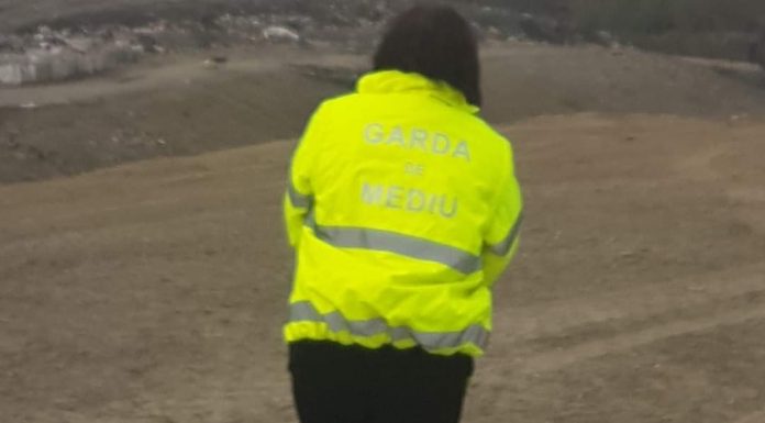 Amenzi de aproape 2,5 milioane de lei, aplicate de Garda de Mediu Gorj