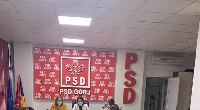 Femeile PSD, întrunite sub noua conducere