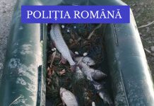 FOTO: Prinși la pescuit ilegal. Ce au descoperit polițiștii