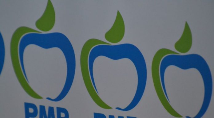 Alegeri la PMP, în martie