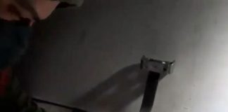 VIDEO: Populare cu o tonă de crap și caras pe Jiu, cu două săptămâni înainte de creșterea alarmantă a debitului apei!