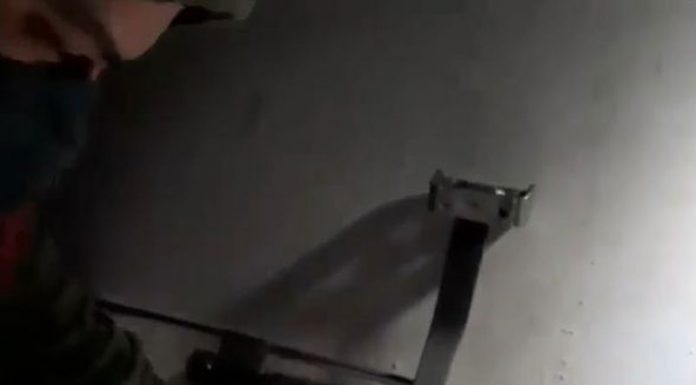 VIDEO: Populare cu o tonă de crap și caras pe Jiu, cu două săptămâni înainte de creșterea alarmantă a debitului apei!