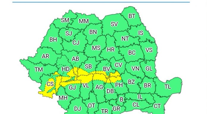 Cod galben de ninsori, la Rânca