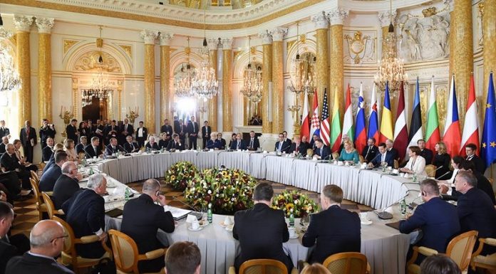 Summitul Virtual al Inițiativei celor Trei Mări