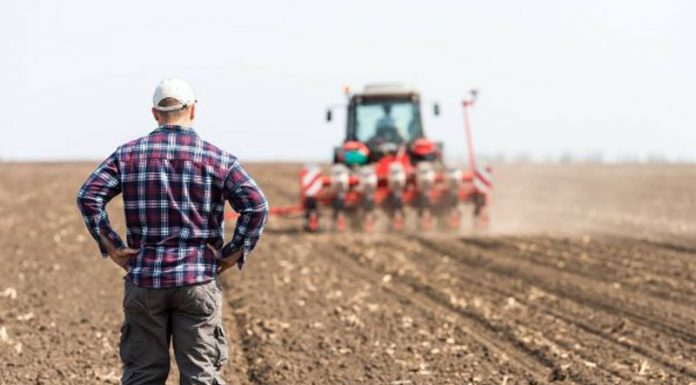 MADR: Start depunerii proiectelor pe sub-măsura 6.1