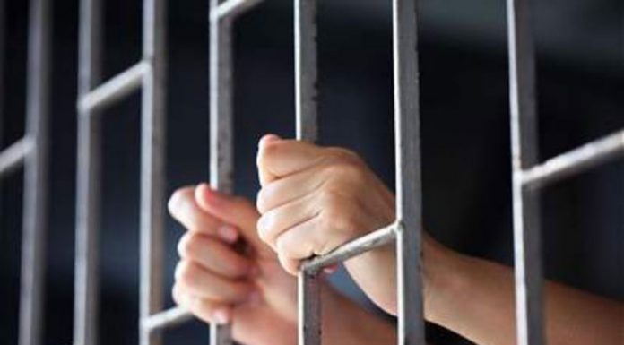 Plopșoru: Și-a amenințat mama și a ajuns în arest