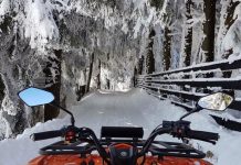 Bucureșteni cercetați de polițiștii gorjeni. Descoperirea făcută de oamenii legii la Rânca