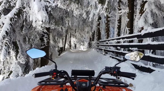 Bucureșteni cercetați de polițiștii gorjeni. Descoperirea făcută de oamenii legii la Rânca