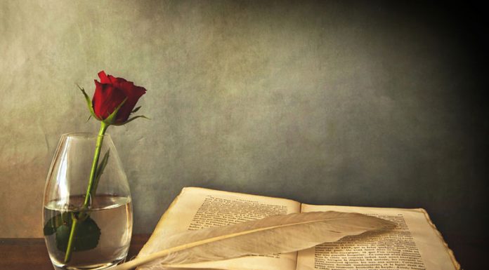 Din prea multă pasiune (I)