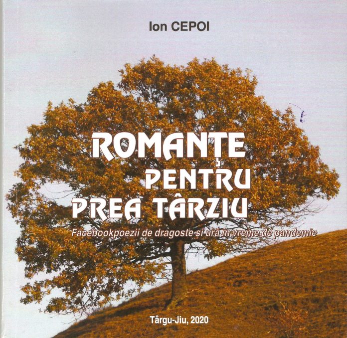 coperta romante pentru prea tarziu