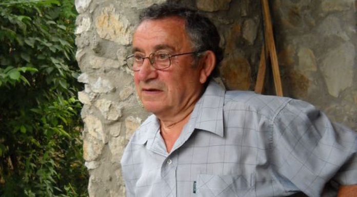 Accente noologice – Ion Căpruciu, la 81 de ani – O serie epopeică