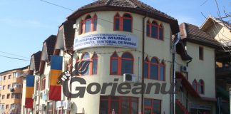 Accident de muncă mortal. Femeia care a murit la Răchiți era agent de pază