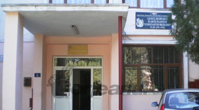 Artele gorjenești în pericol! Stop desființării unei clase!