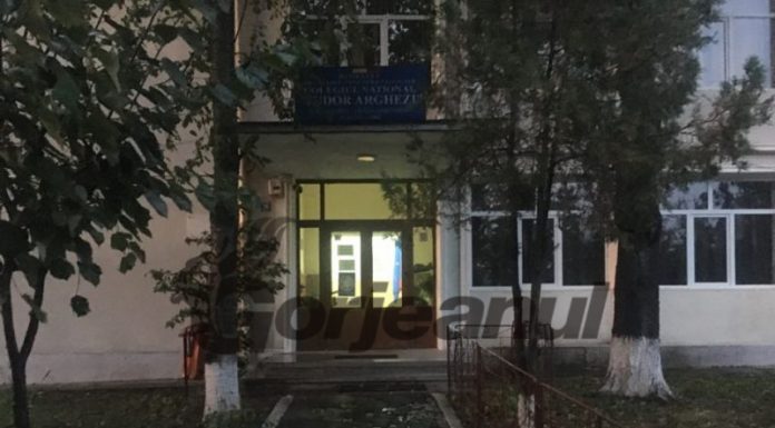 Post vacant la Colegiul Național ,,Tudor Arghezi” Târgu-Cărbunești