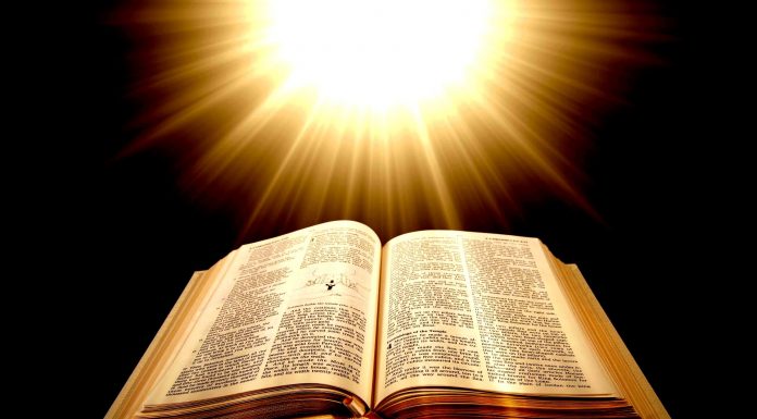 Cuvântul Lui Dumnezeu şi Dumnezeu-Cuvântul! – Pe parcursul anului acesta, vom avea prilejul să înţelegem tema «Ramurii»!