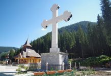 Eveniment editorial – Roman inspirat de un caz real, semnat de Constantin Dârvăreanu