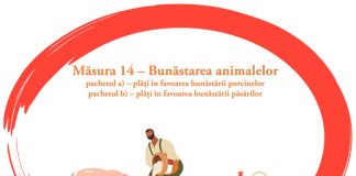 APIA: Termen pentru depunerea deconturilor justificative pe Măsura 14