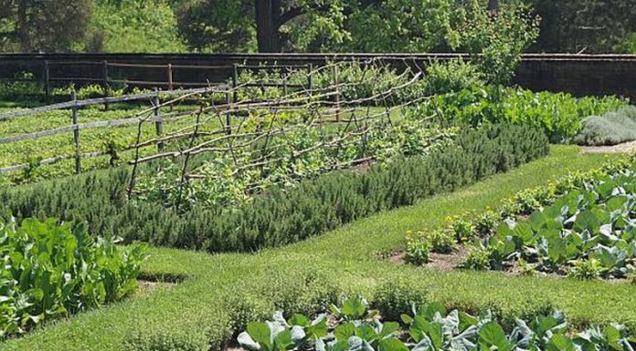 Agricultura pe înțelesul tuturor – Să ne protejăm ecologic grădina, casa