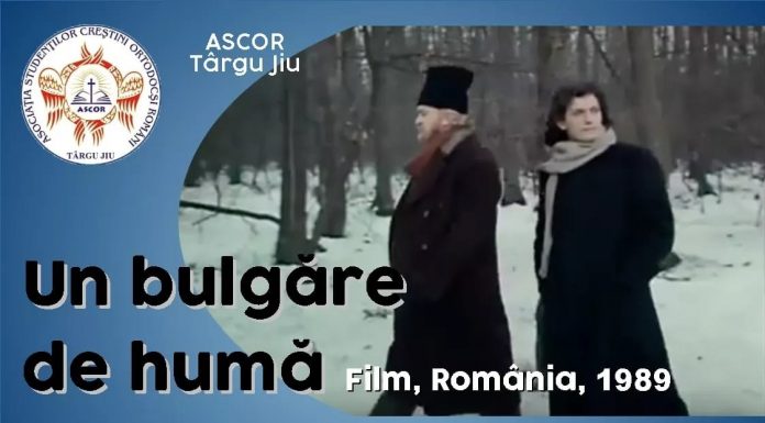 Ziua Culturii Naţionale, marcată în cadrul ASCOR Târgu Jiu