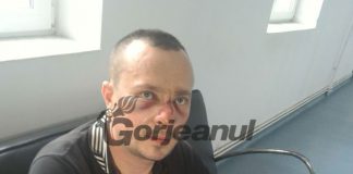 Pădurar condamnat după ce a bătut un „hoț” de lemne!