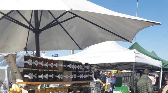 Fără târg apicol la Polovragi