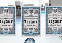 Gorjenii pot investi în titlurile de stat Tezaur și în luna ianuarie