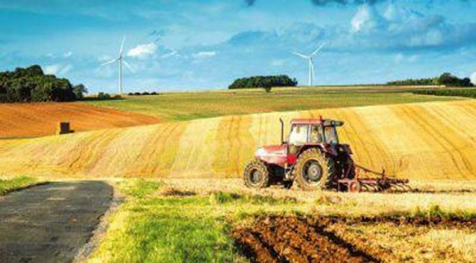 MADR: O altă sub-măsură de finanțare, prelungită până la 31 martie