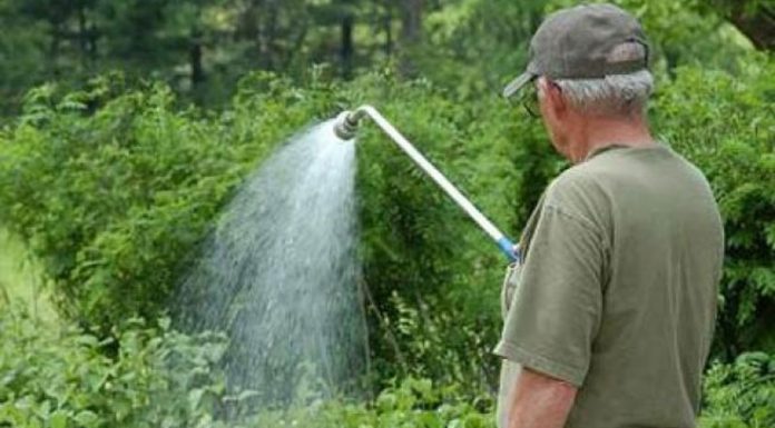 Agricultura pe înțelesul tuturor – Să ne protejăm ecologic grădina, casa