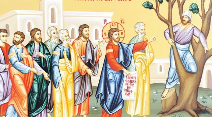 Calea, Lumina, Adevărul şi Viaţa! – Dumnezeu ne iubeşte nespus de mult, pentru că ne îndeamnă să-L întâmpinăm cu credinţă şi să urcăm şi noi în «sicomorul» căinţei şi al îndreptării!