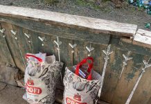 Bărbatul amărât din Vladimir, ajutat cu lemne și alimente