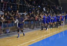 Tot mai multe voci cer revenirea fanilor în săli și stadioane