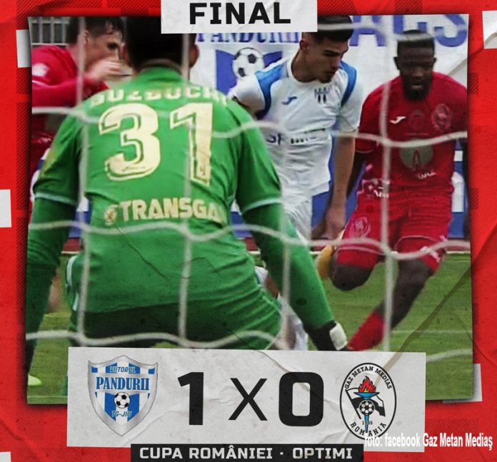 149608355_711812236147534_2576415191027771309_n