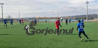 Pleașcă, aproape de Pandurii